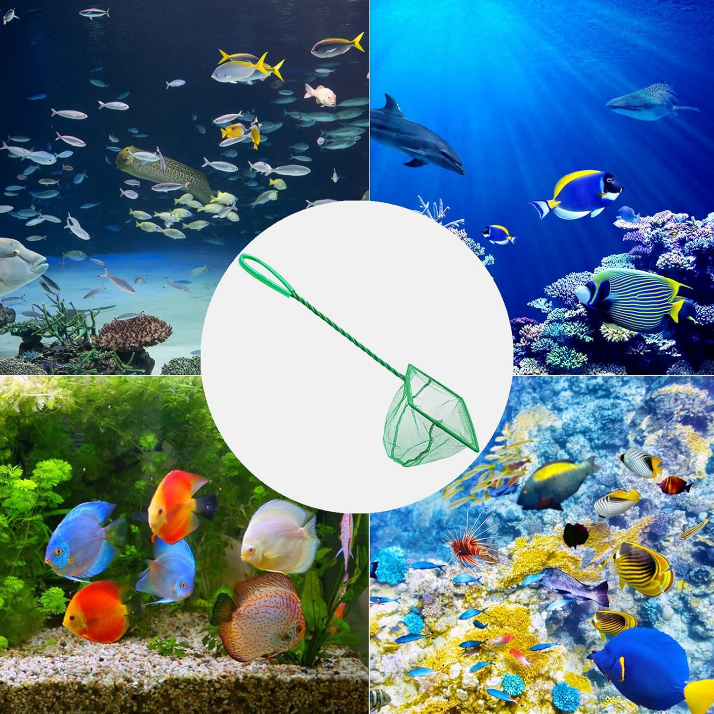 Aquarium Fish Net 10 cm.