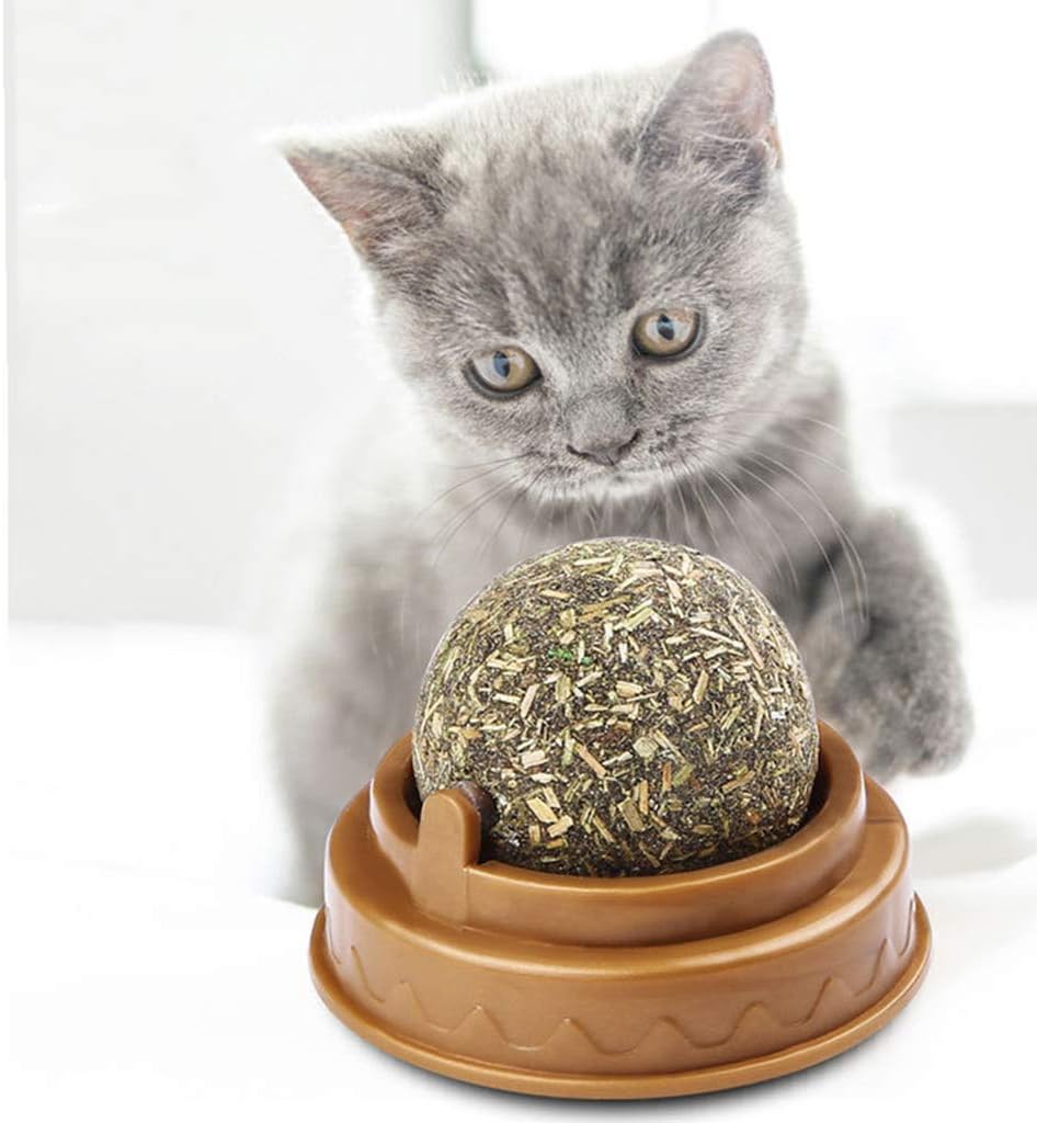 Catnip Play Ball