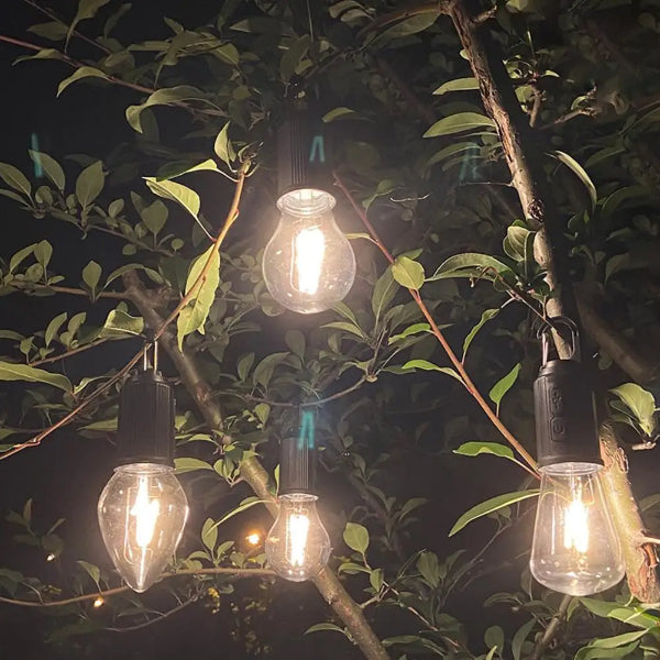 Rechargeable Portable Bulb