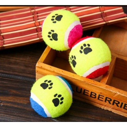 At Getir Köpek Eğitim Topu (5347)