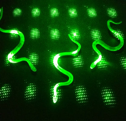 Joke Snake and Centipede Mixed 36 Pieces (5347)