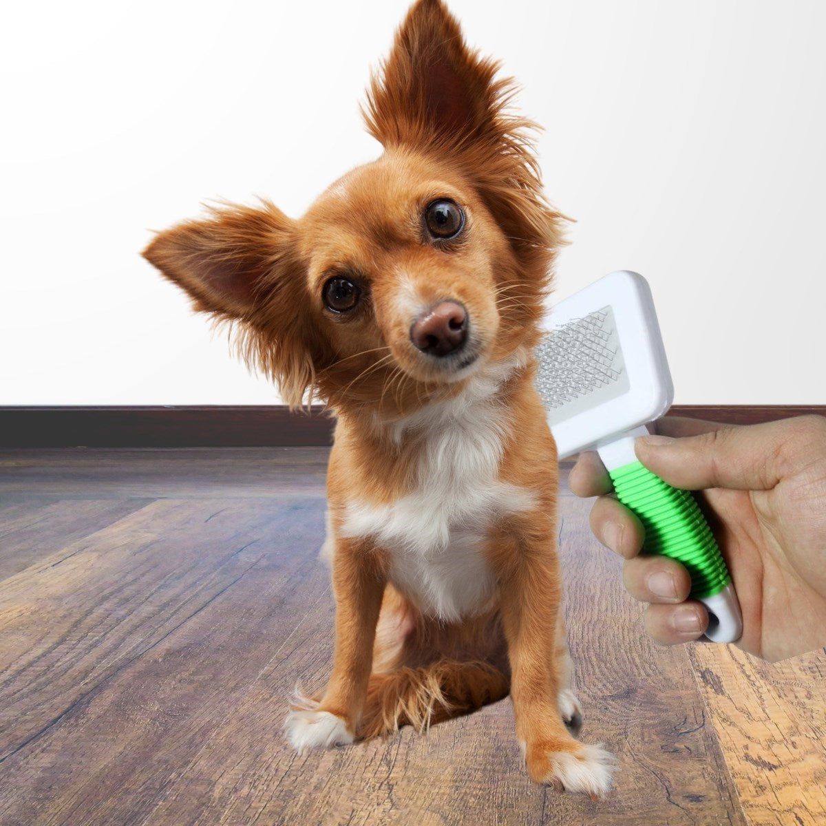 Starixa® Kedi Köpek Telli Küçük Boy Tüy Bakım Seti Evcil Hayvan Tarama Fırçası
