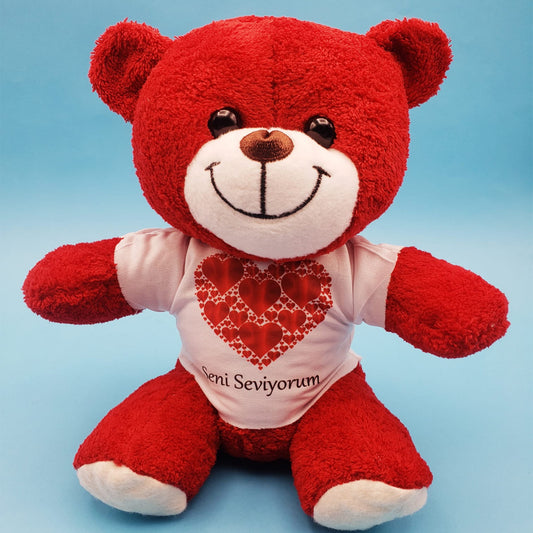 Red Plush Teddy Bear with "I Love You" Heart T-Shirt
