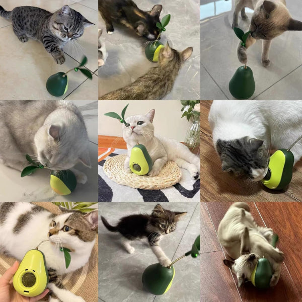 Avocado Shaped Catnip and Food Dispensing Cat Toy
