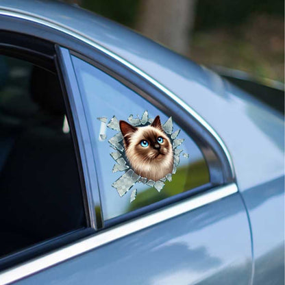 Fulcar Siamese Car Sticker