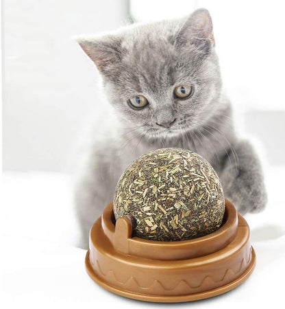 Catnip Play Ball
