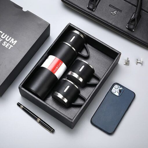 Boxed Thermos Set 500 ml