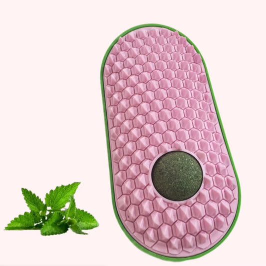 Catnip with Silicone Scratcher