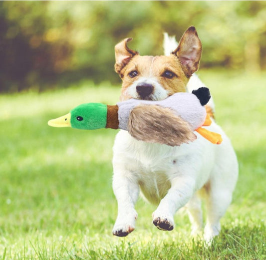 Plush Squeaky Duck Dog Toy