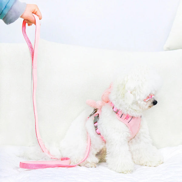Pet Plush Teddy Bear Harness and Leash Set