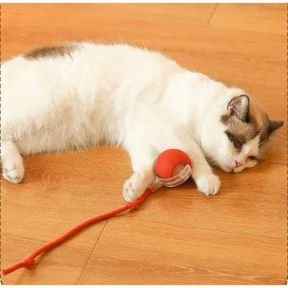 Şarjlı Kedi Oyuncağı