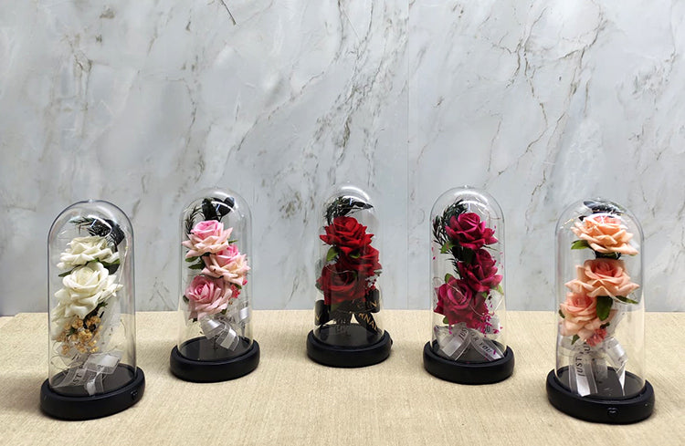 Romantic Rose in a Light-Up Musical Glass Dome
