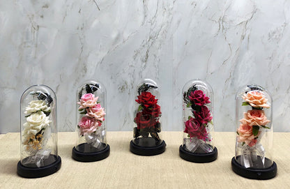 Romantic Rose in a Light-Up Musical Glass Dome