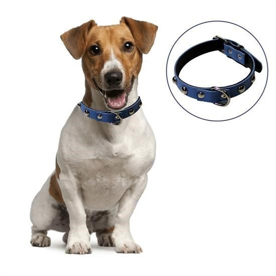 Starixa® Soft Texture Leather Dog Leash and Collar Set (Large)