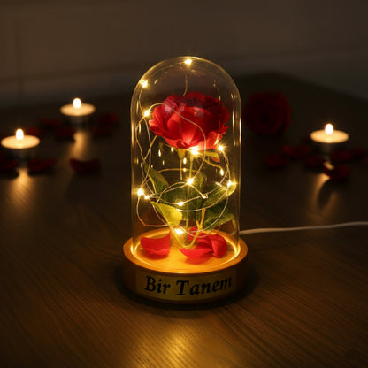 فانوس ورد LED ببتلات الورد