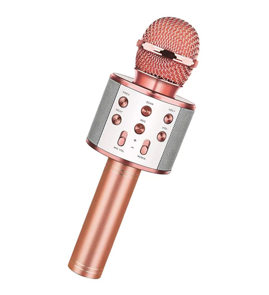 Bluetooth Karaoke Mikrofon (5347)
