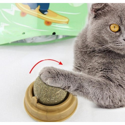 Catnip Play Ball