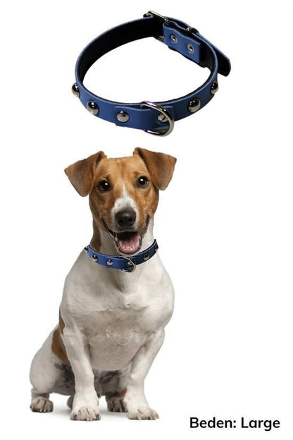Starixa® Soft Texture Leather Dog Leash and Collar Set (Large)