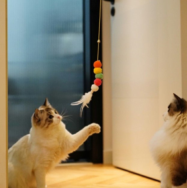 Elastik Kendinden Yapışkanlı Solucan Kedi Oltası (5347)