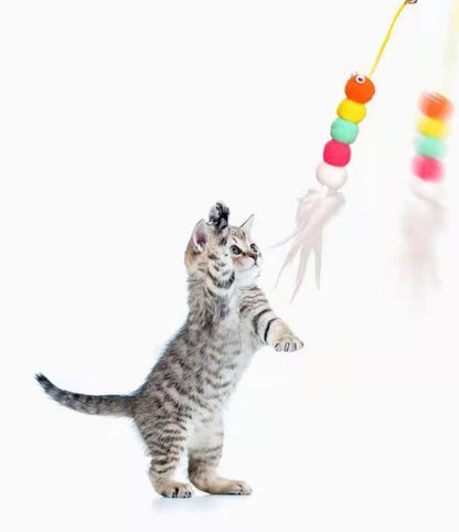 Elastik Kendinden Yapışkanlı Solucan Kedi Oltası (5347)