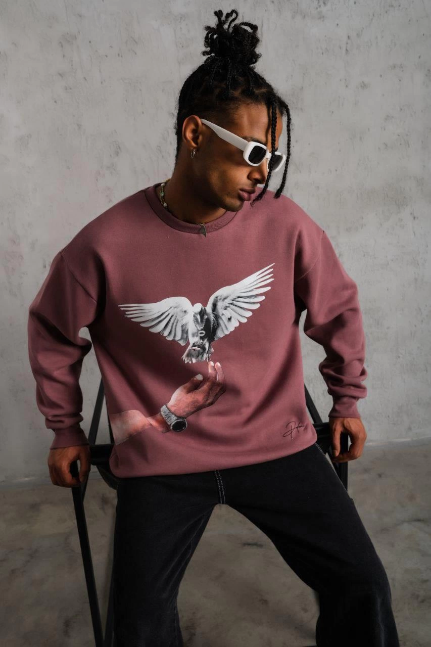 Erkek Güvercin Baskılı Sweatshirt - Gül Kurusu