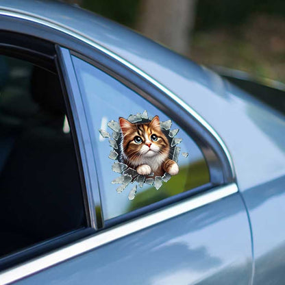 Fulcar Stray Vehicle Sticker
