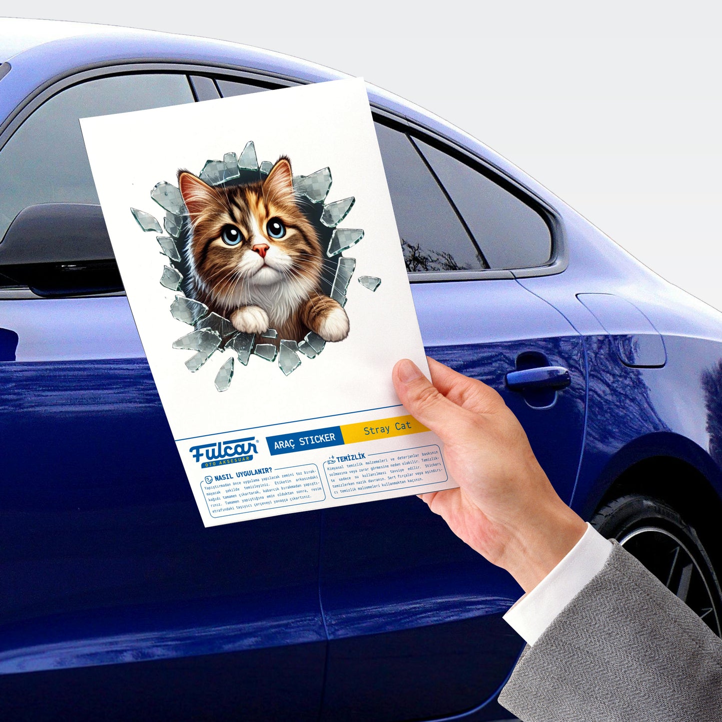 Fulcar Stray Vehicle Sticker