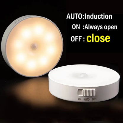 Motion Sensor USB Rechargeable LED Light Lamp (5347)