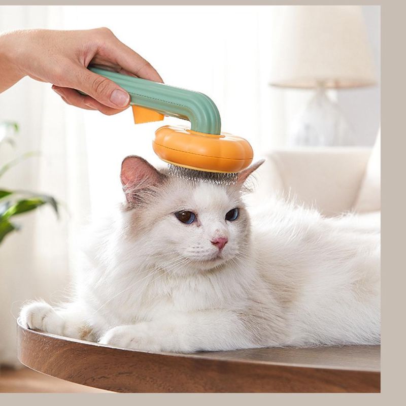 Pumpkin-Designed Pet Comb