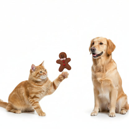 Sound Biscuit Man Biting Toy