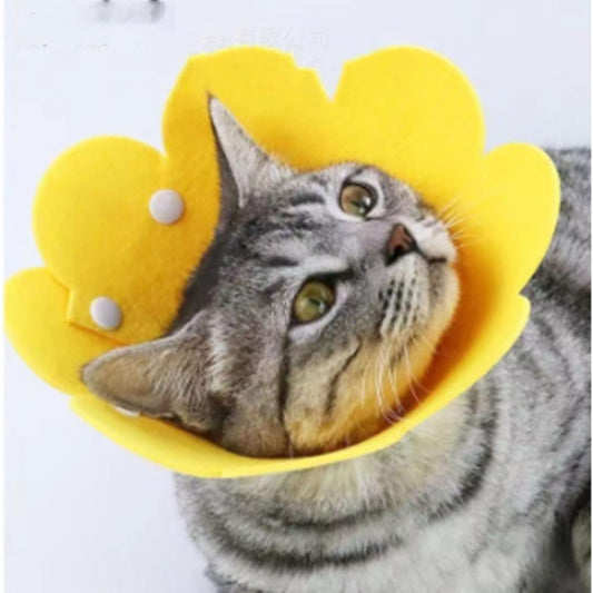 Pet M Size Felt Elizabeth Collar