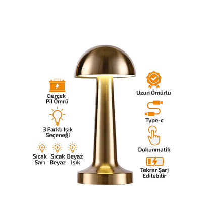 OVAL - METAL MANTAR MASA LAMBASI DOKUNMATİK - RENKLİ TYPE-C ŞARJLI 3 FONKSİYONLU YL86-1231 (5347)