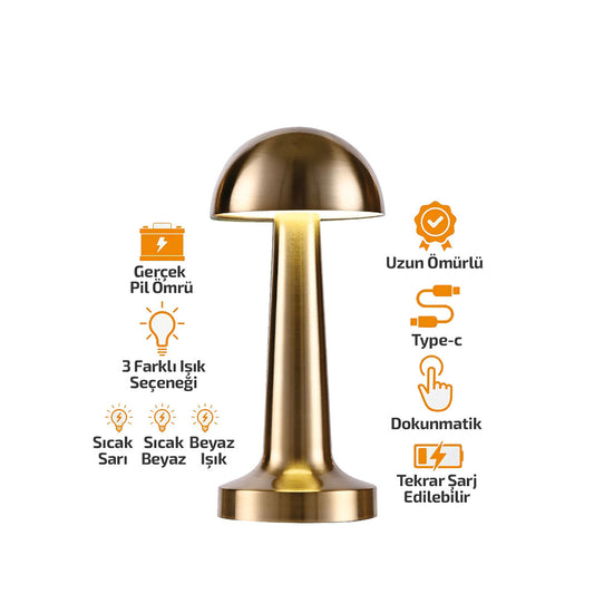 OVAL - METAL MANTAR MASA LAMBASI DOKUNMATİK - RENKLİ TYPE-C ŞARJLI 3 FONKSİYONLU YL86-1231 (5347)