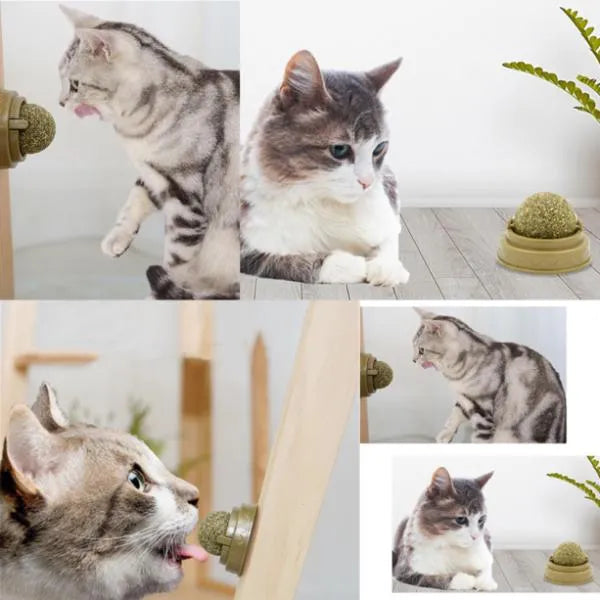 Catnip Play Ball