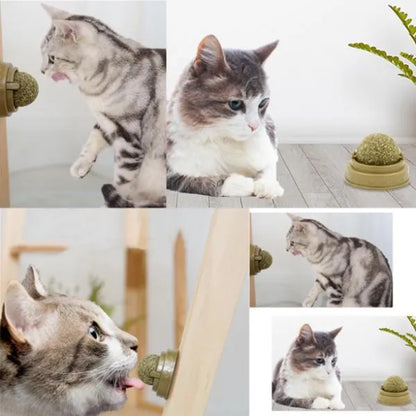 Catnip Play Ball
