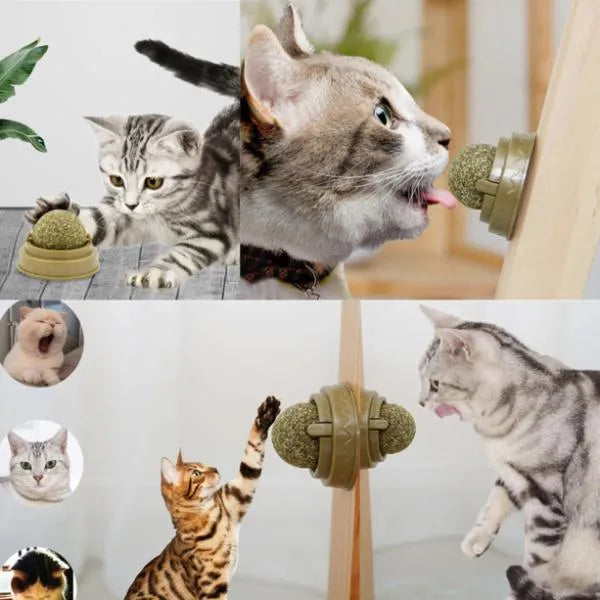 Catnip Play Ball