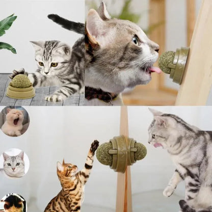 Catnip Play Ball