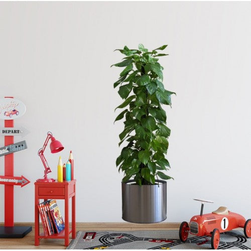 Potted Plant Design Self-Adhesive Sticker Picture 90*30 cm (5347)