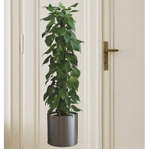 Potted Plant Design Self-Adhesive Sticker Picture 90*30 cm (5347)