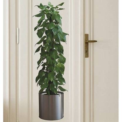 Potted Plant Design Self-Adhesive Sticker Picture 90*30 cm (5347)