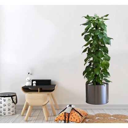 Potted Plant Design Self-Adhesive Sticker Picture 90*30 cm (5347)