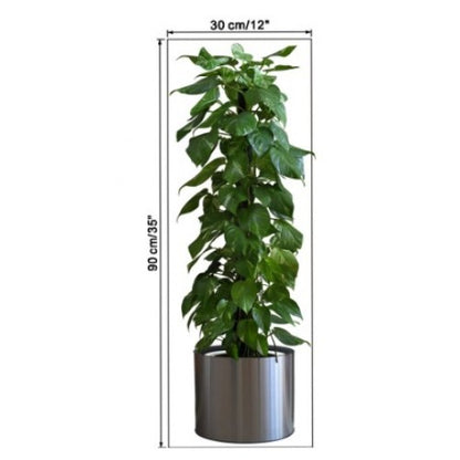 Potted Plant Design Self-Adhesive Sticker Picture 90*30 cm (5347)