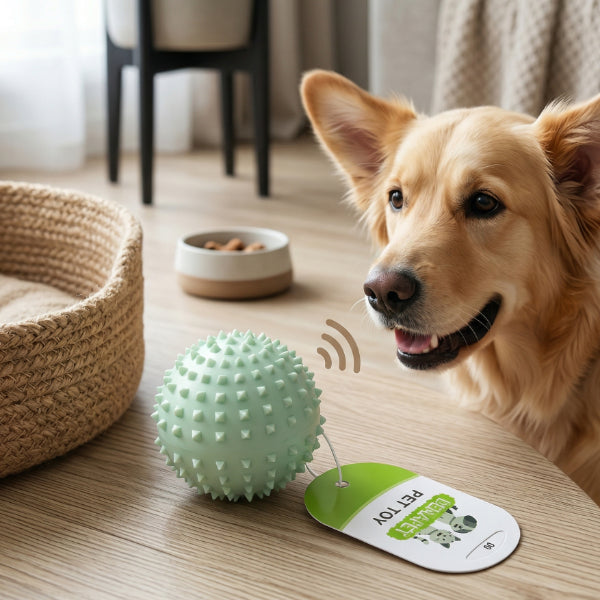 Squeaky Spiky Pet Toy Ball