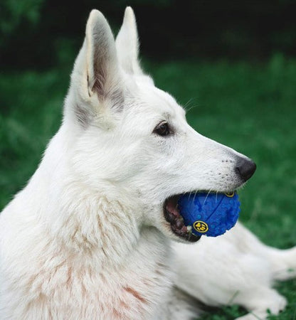 SOUNDING FEEDER PLAY BALL