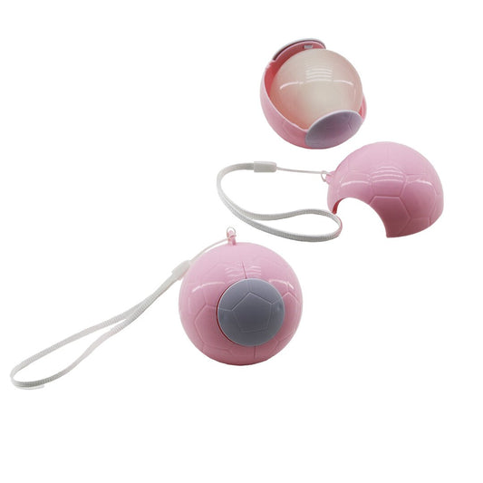 TOP MODEL Sticky Lint Roller with Plastic Ball and Rope (5347)