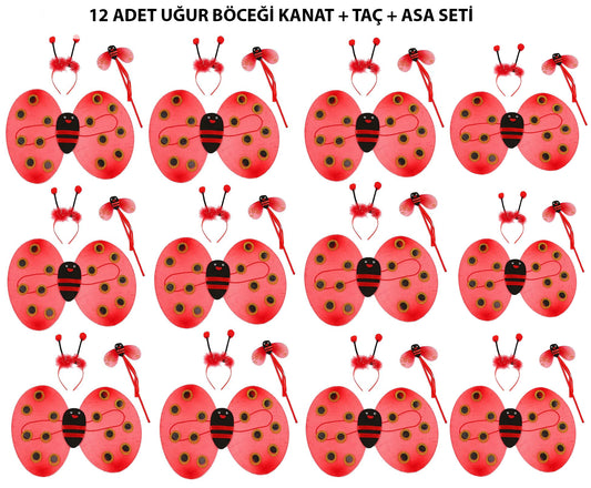 Uğur Böceği Kostüm Seti - Kanat, Taç, Asa 12 Adet