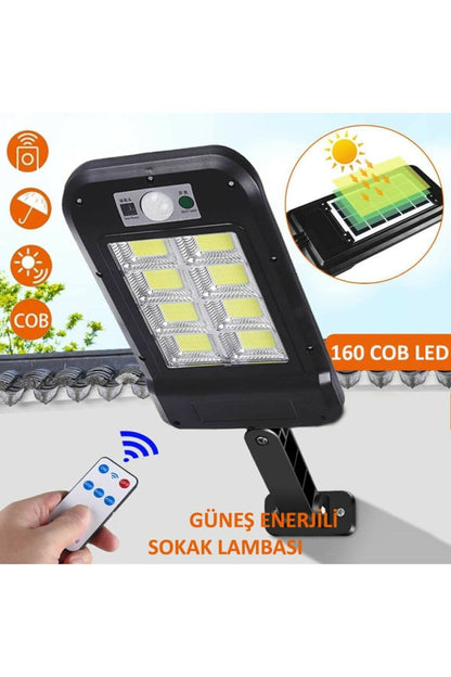 Remote Controlled 160 LED Solar Garden Light